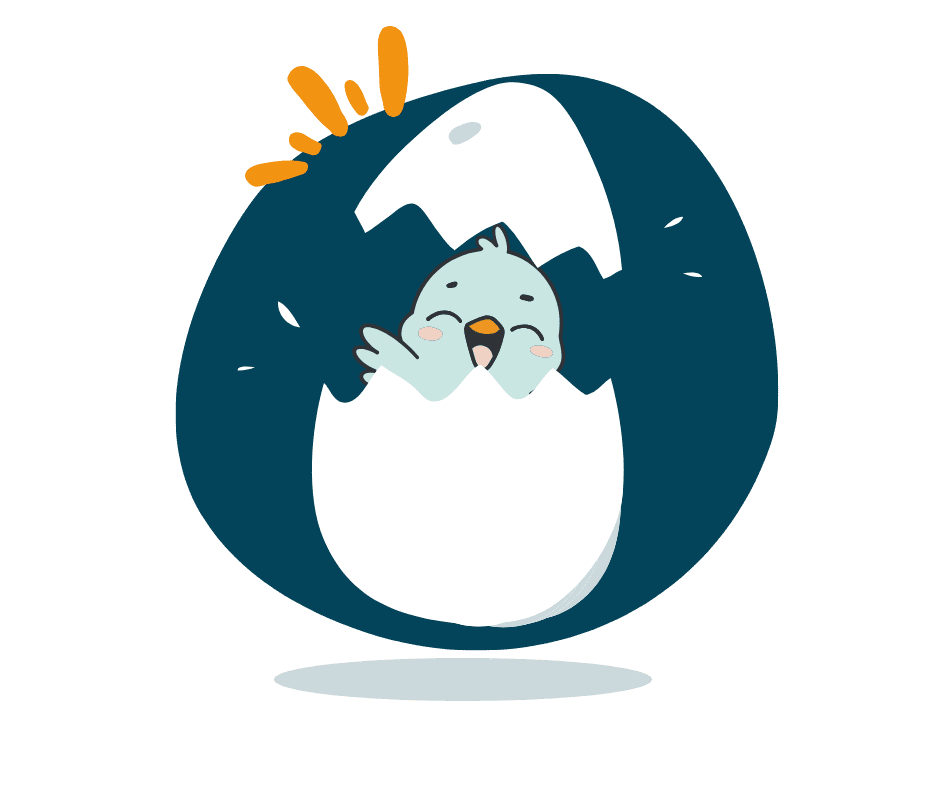 création de site internet